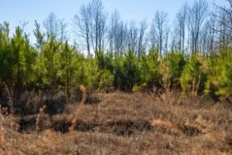 0 White Oak Rd, Stewart, TN 37175 - #3