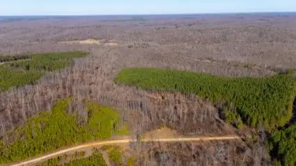 0 White Oak Rd, Stewart, TN 37175 - #2