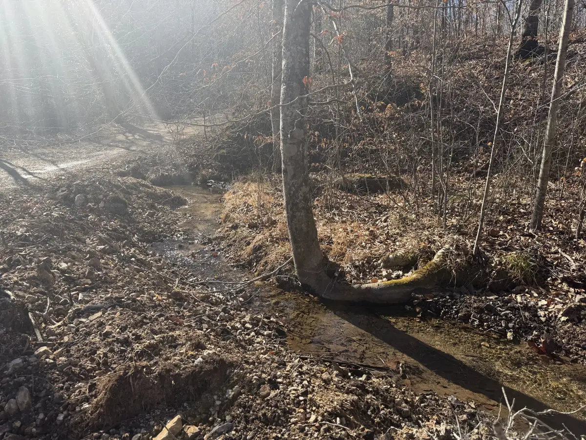 240 Golden View Ln, Hampshire, TN 38461 - #1