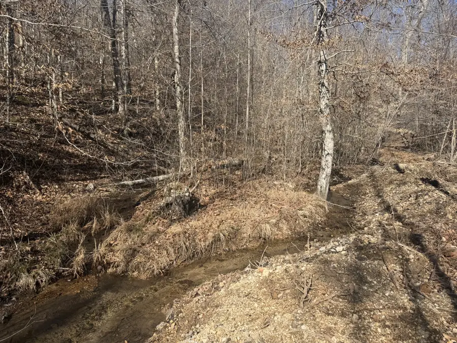 240 Golden View Ln, Hampshire, TN 38461 - #3