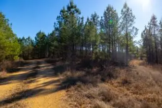 0 White Oak Rd, Stewart, TN 37175 - #1