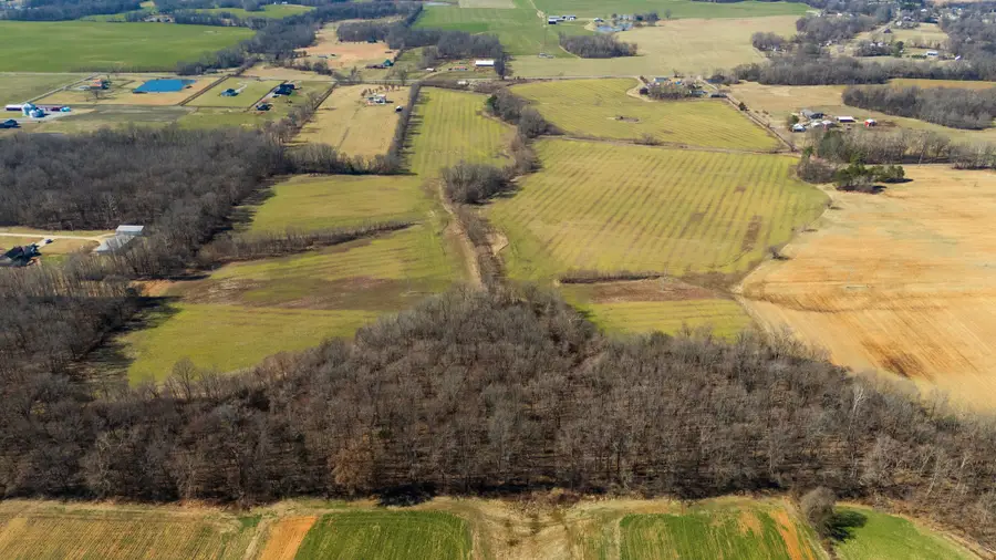 1902 Kinneys Rd, Adams, TN 37010 - #3