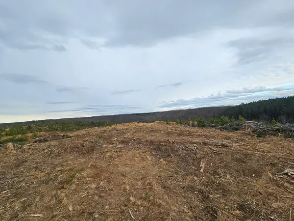 0B Waynesboro Hwy, Waynesboro, TN 38485