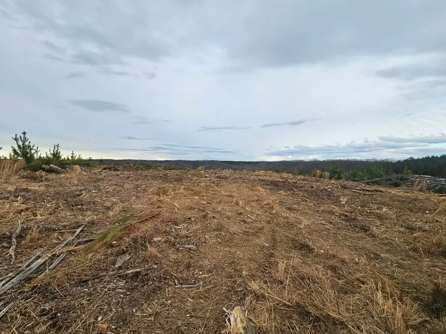 0B Waynesboro Hwy, Waynesboro, TN 38485 - #2