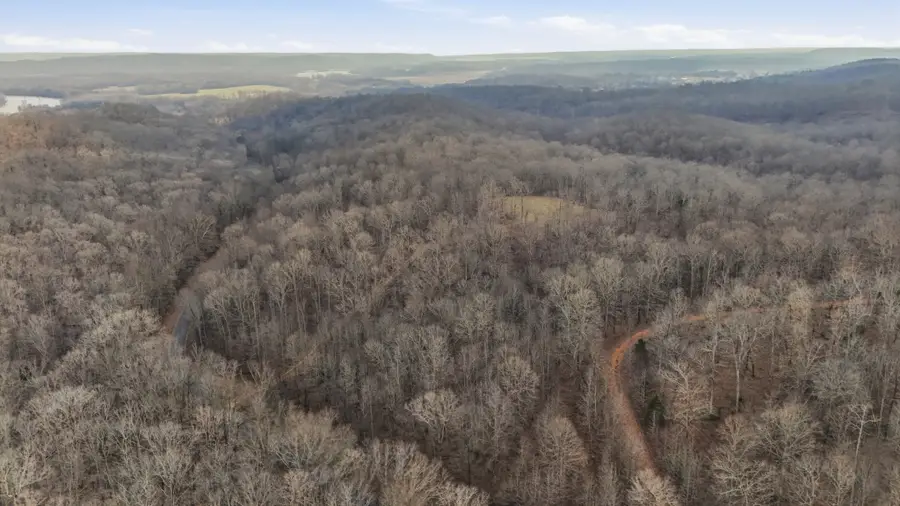 1655 Box Hollow Rd, New Johnsonville, TN 37134 - #3