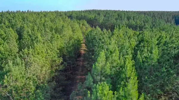 0 Indian Creek Rd, Hohenwald, TN 38462