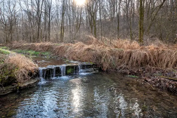 2171 Simmons Ridge Rd, Cornersville, TN 37047