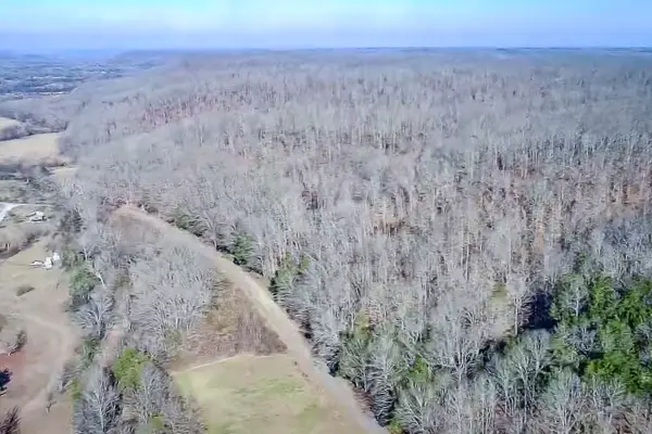 0 Mayberry Prong Rd, Linden, TN 37096