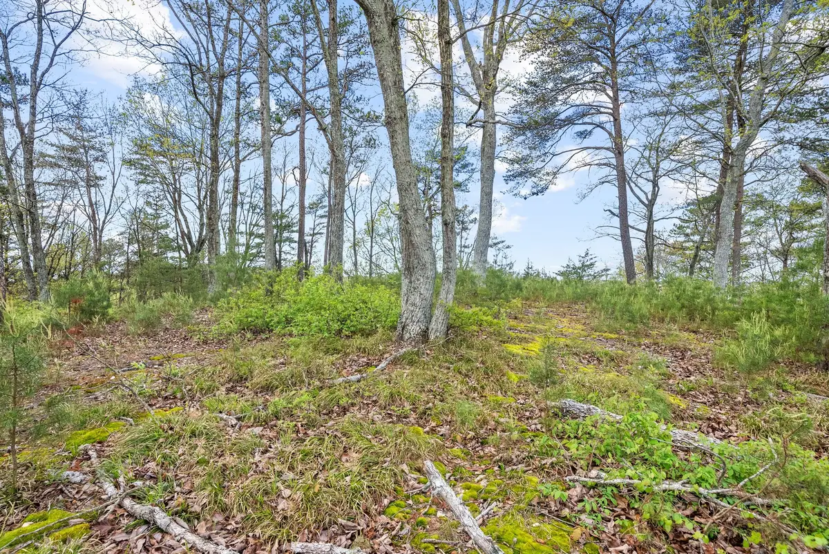 81 Crest Ct, Waverly, TN 37185 - #1