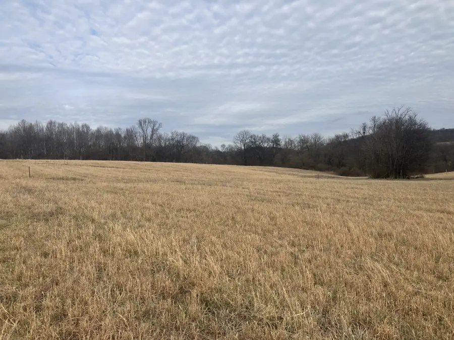 6 Southport Rd, Mount Pleasant, TN 38474 - #2