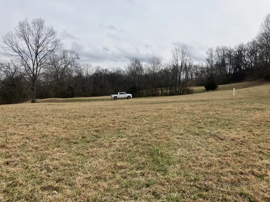 13 Booker Ridge Rd, Mount Pleasant, TN 38474 - #2