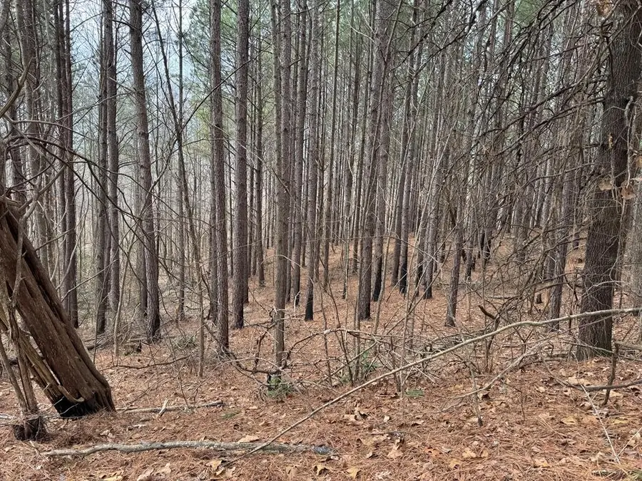 613 Williams Grove Rd, Camden, TN 38320 - #2