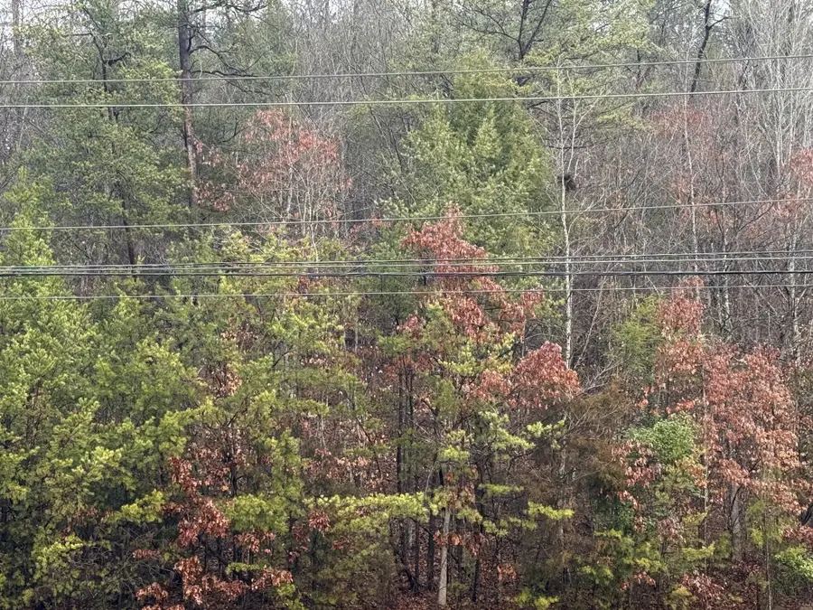 0 Birds Creek, Sevierville, TN 37876 - #3
