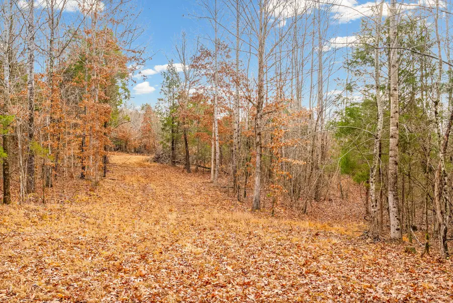 4310 Old Highway 13, Cumberland City, TN 37050 - #2