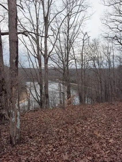 0 Old Mt View Rd, Manchester, TN 37355 - #3