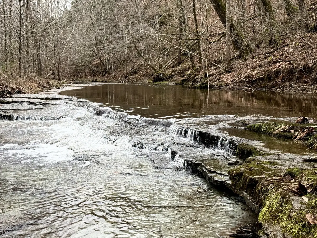 5790 N Lick Creek Rd, Franklin, TN 37064 - #1