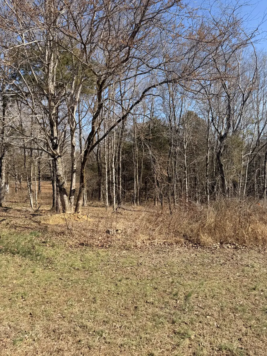 0 Gallion Rd, Cumberland Furnace, TN 37051 - #2