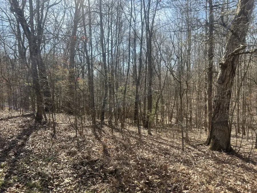 0 Sales Landing Rd, Camden, TN 38320 - #2