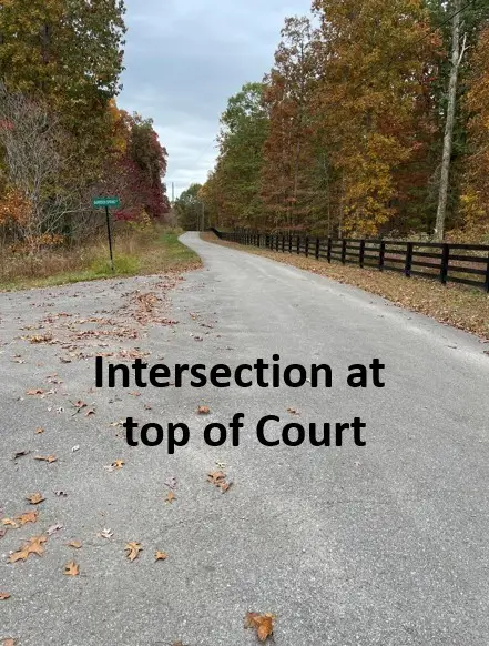 5510 Garrison Springs Ct, Franklin, TN 37064 - #3