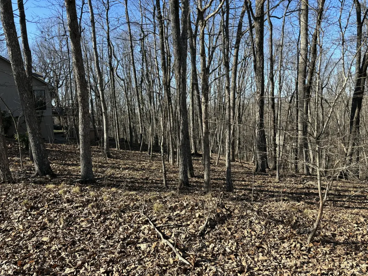 239 Amherst Lane, Crossville, TN 38558 - #1