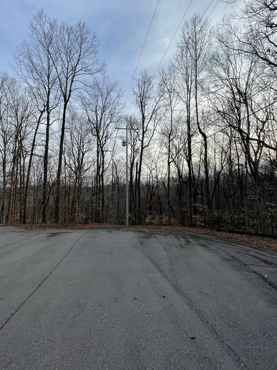 0 Still House Ct, White House, TN 37188 - #3