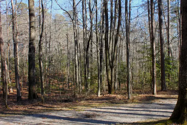 0 Woodfern Lane, Coalmont, TN 37313