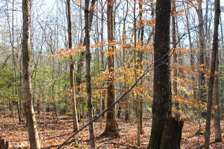 0 Woodfern Lane, Coalmont, TN 37313 - #3