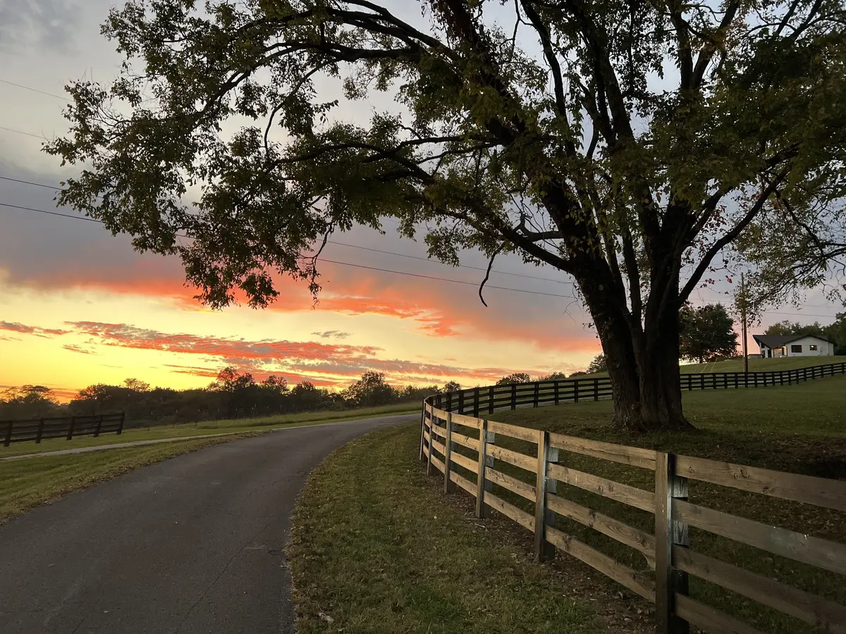 2202 Darks Mill Rd, Columbia, TN 38401 - #1