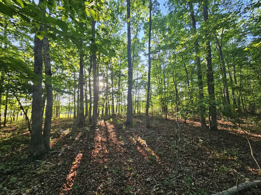 10 Griswold Road, Altamont, TN 37301 - #2