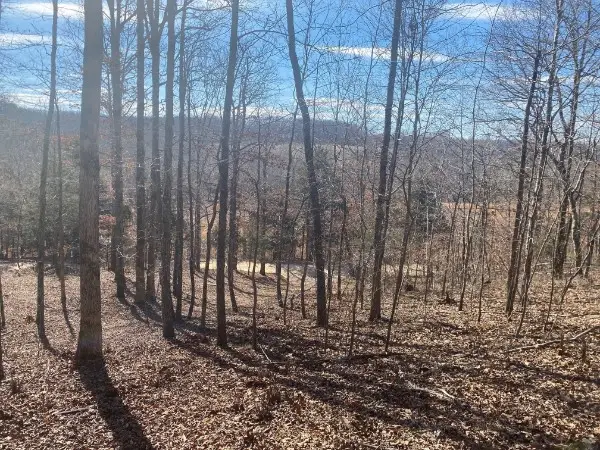 4200 Big Richland Creek Rd E, Mc Ewen, TN 37101 - #3