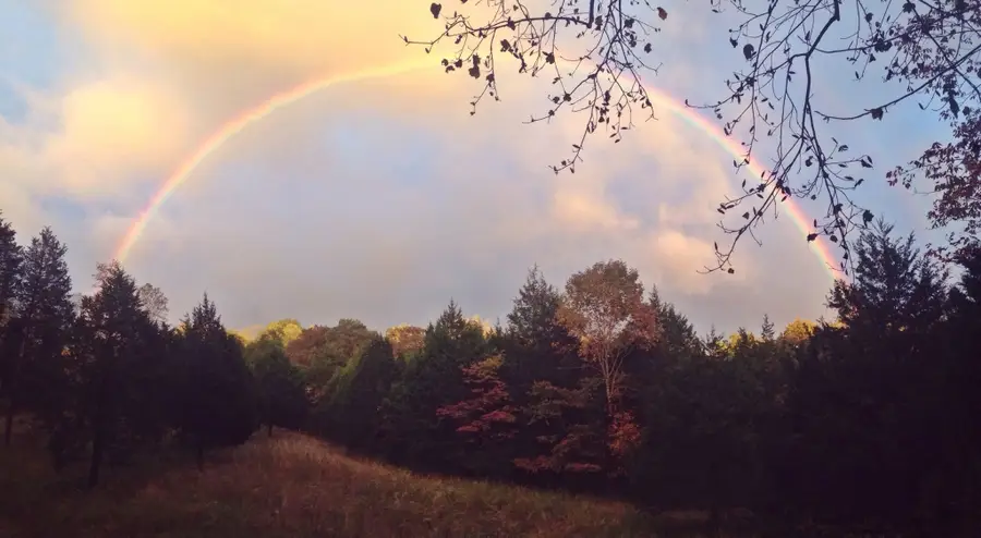 7061 E Plunders Creek Rd, Dickson, TN 37055 - #3