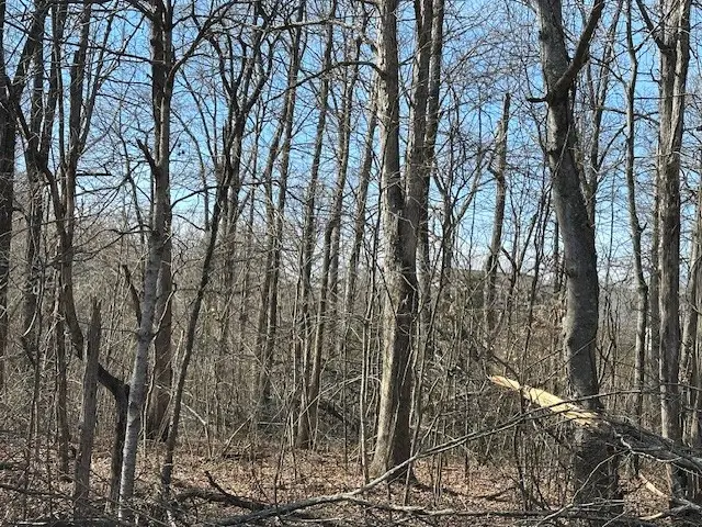 0 Pinewood Rd, Primm Springs, TN 38476 - #2