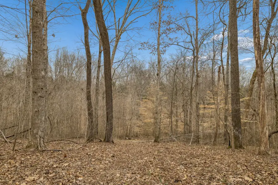 0 Mosley Ferry Rd, Ashland City, TN 37015 - #3