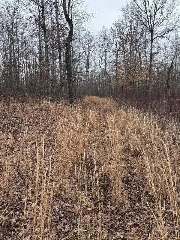 0 Old State Highway 13, Hurricane Mills, TN 37078