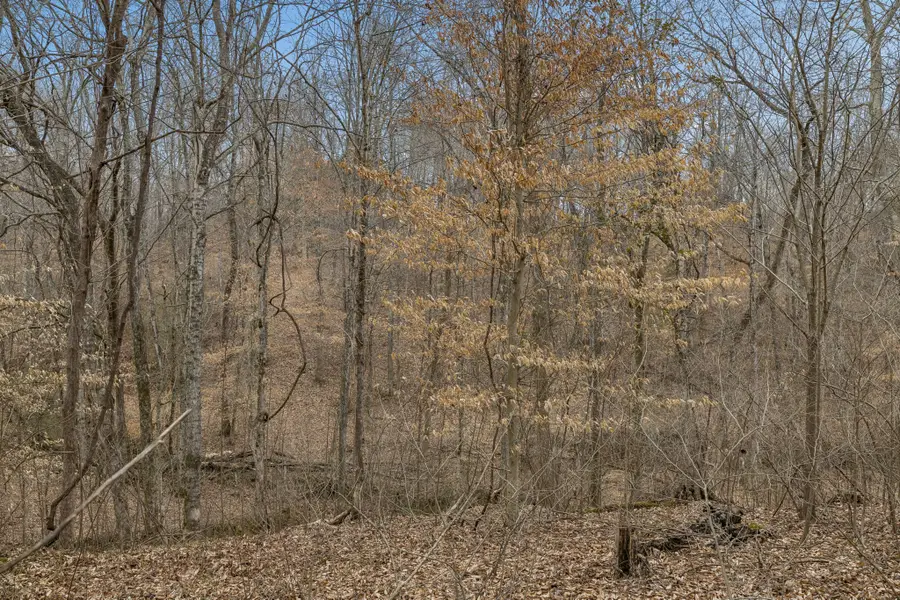 0 Mosley Ferry Rd, Ashland City, TN 37015 - #2