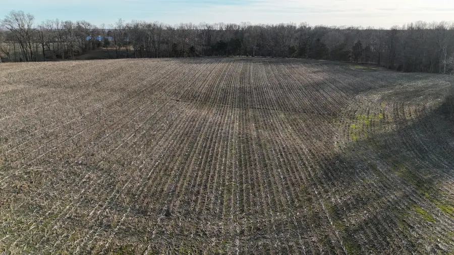 0 Highway 79, Mc Kenzie, TN 38201 - #2