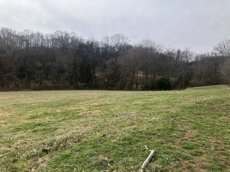 12 Booker Ridge Rd, Mount Pleasant, TN 38474 - #3
