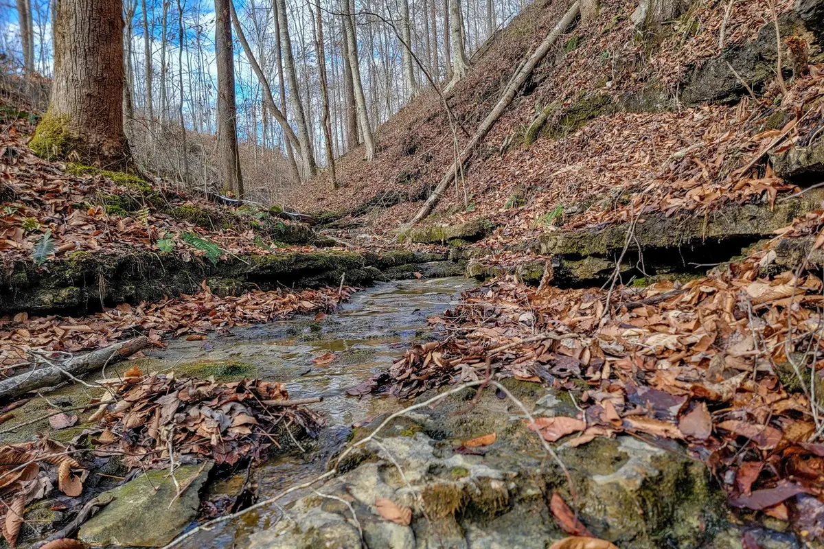 0 Hutchins Bend Rd, Sparta, TN 38583 - #1