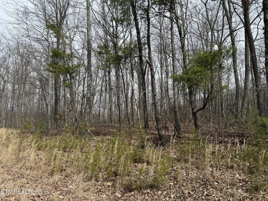 0 High Place, Monterey, TN 38574 - #2