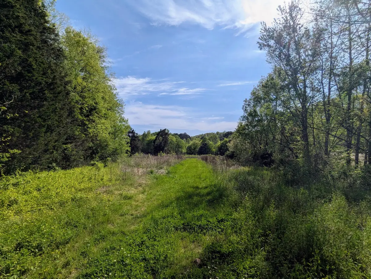 0 Ladd Springs Road, Old Fort, TN 37362 - #1