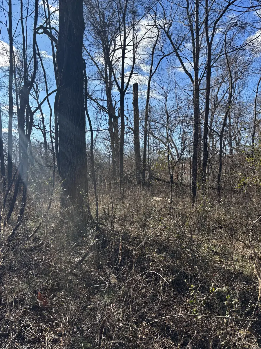 0 Wallace Road, Waverly, TN 37185 - #3