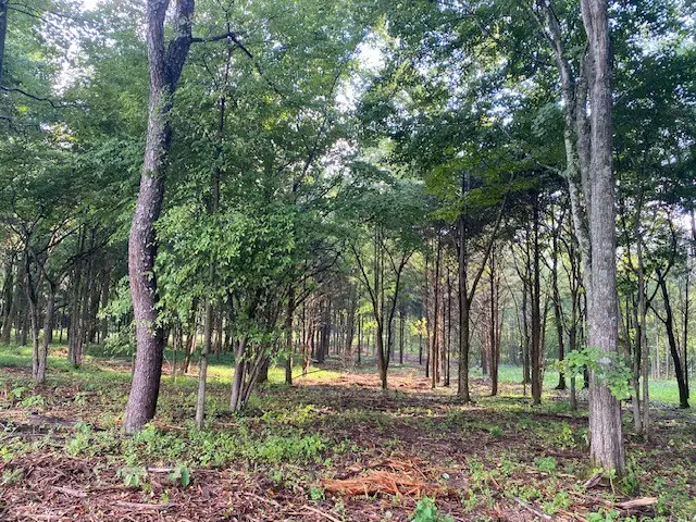 7870 Bill Moss Rd, White House, TN 37188 - #3