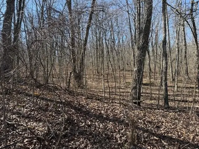 11 Shadowland Drive, Graysville, TN 37338 - #2