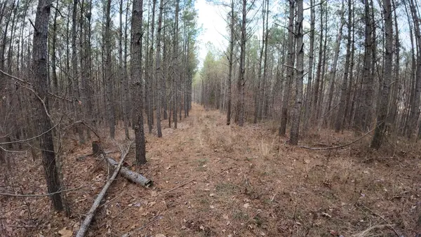 240 Brookstone Dr, Linden, TN 37096