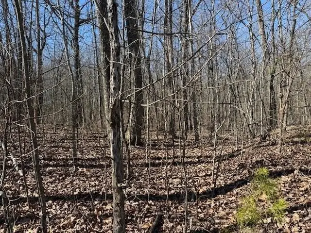 10 Shadowland Drive, Graysville, TN 37338 - #2