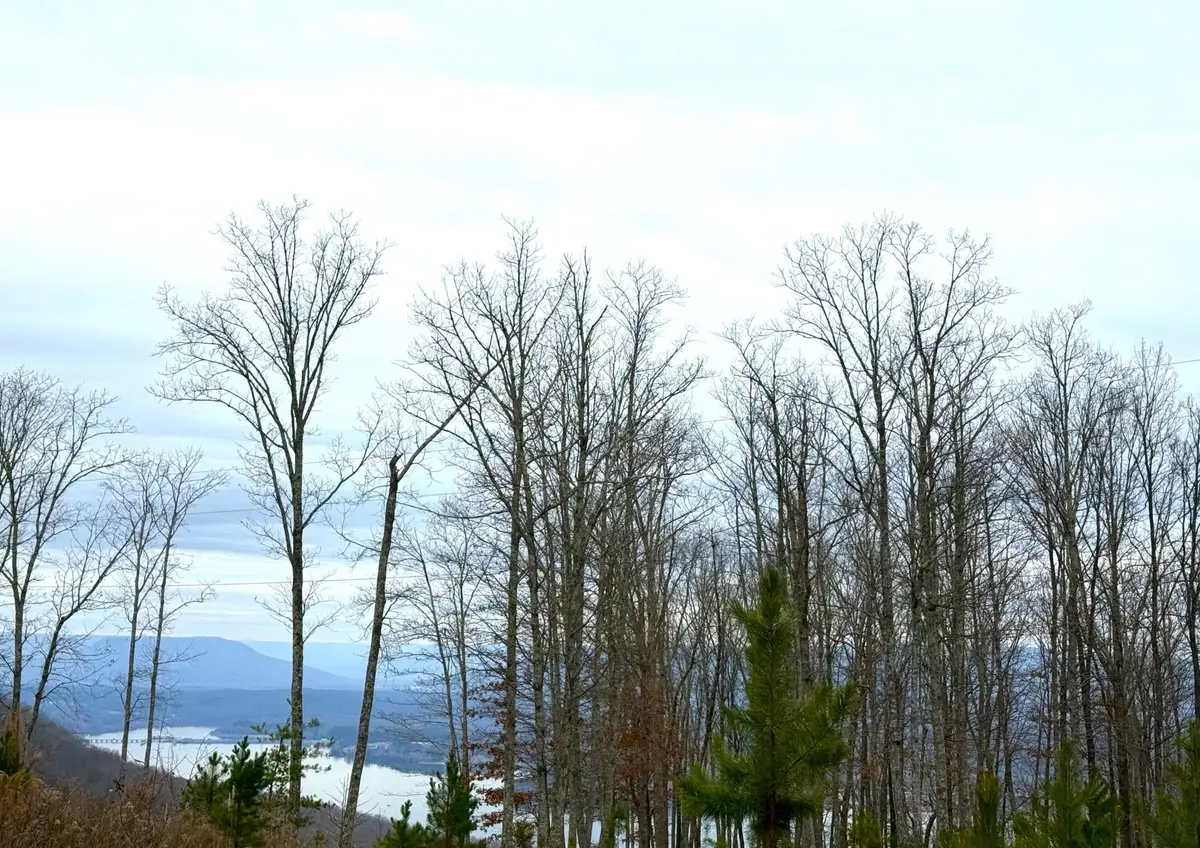 0 Wohalie Lane, South Pittsburg, TN 37380 - #1