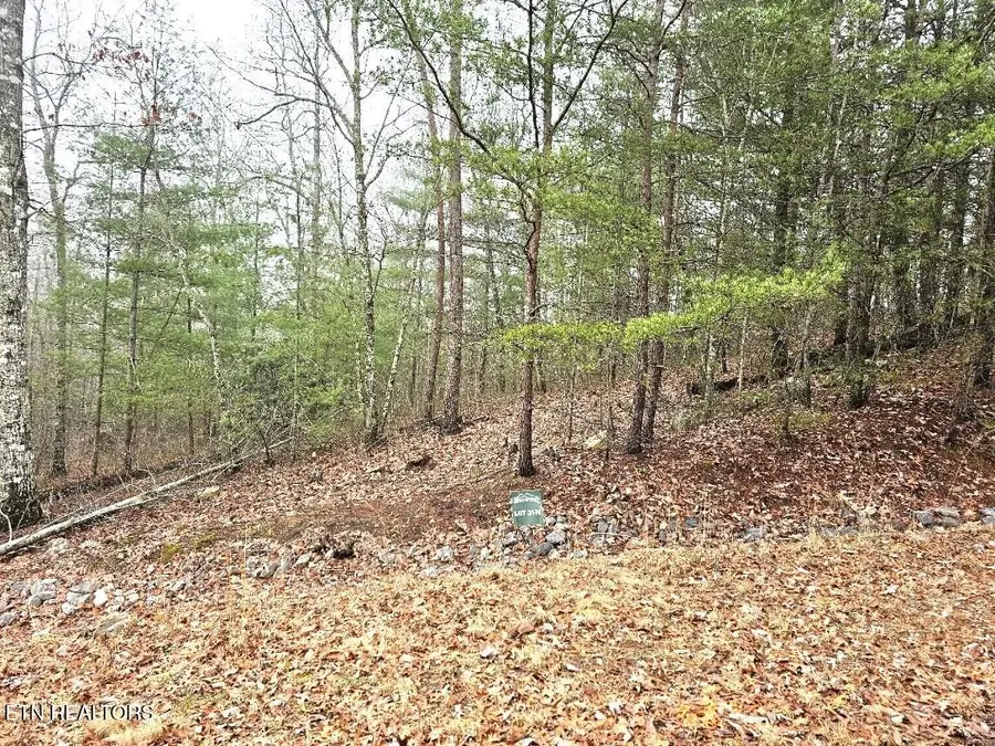 514 Percussion Court, Walland, TN 37886 - #3