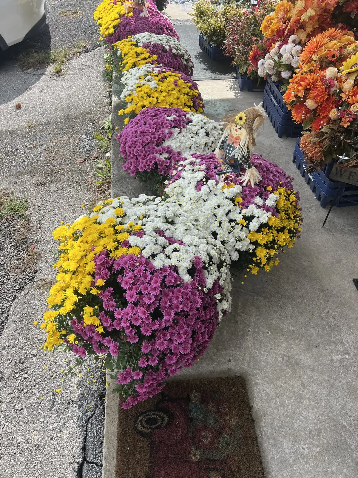 666 Brattontown Cir, Lafayette, TN 37083 - #1