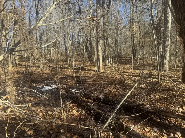 280 Chapman Road, Dunlap, TN 37327