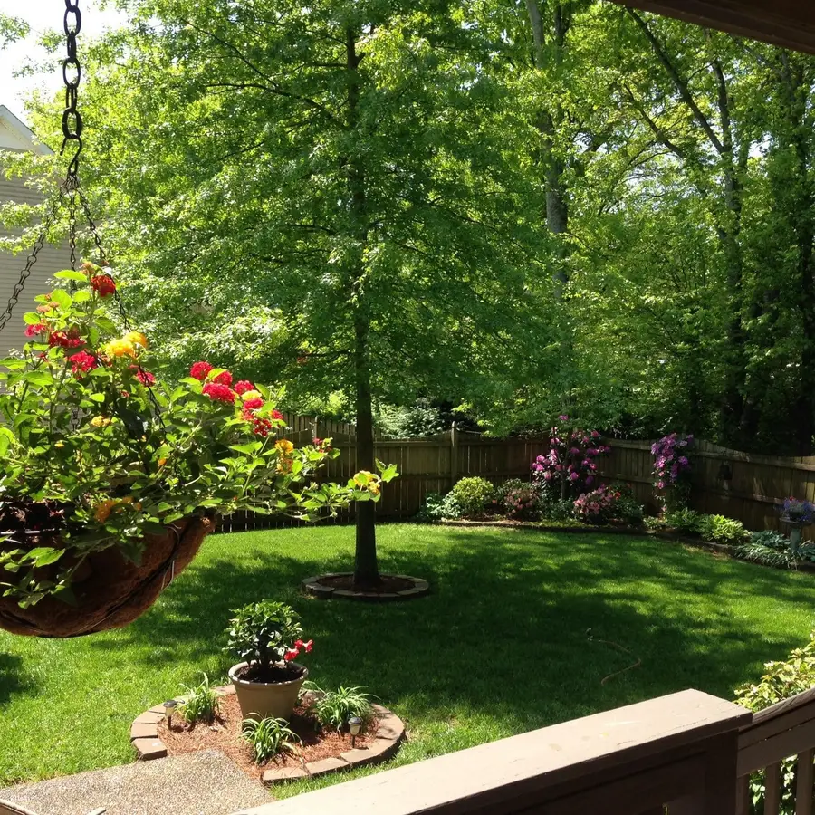 1905 Bunbury Ct, Thompsons Station, TN 37179 - #2